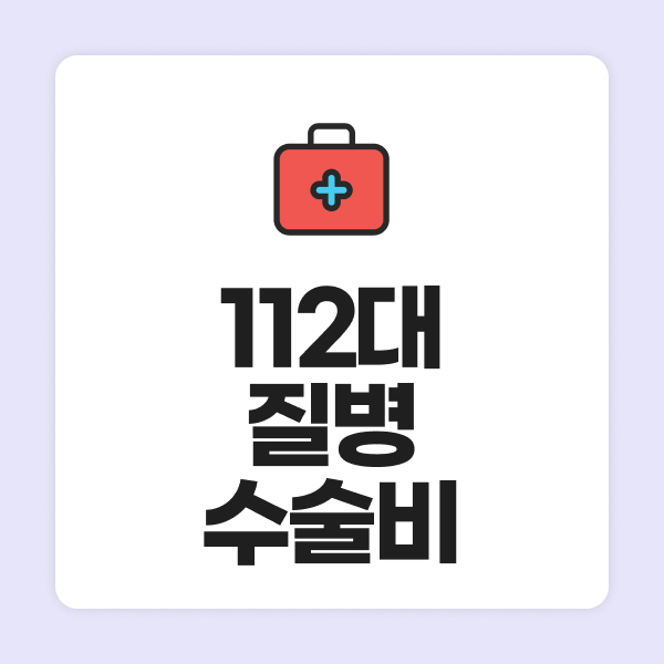 112대질병수술비